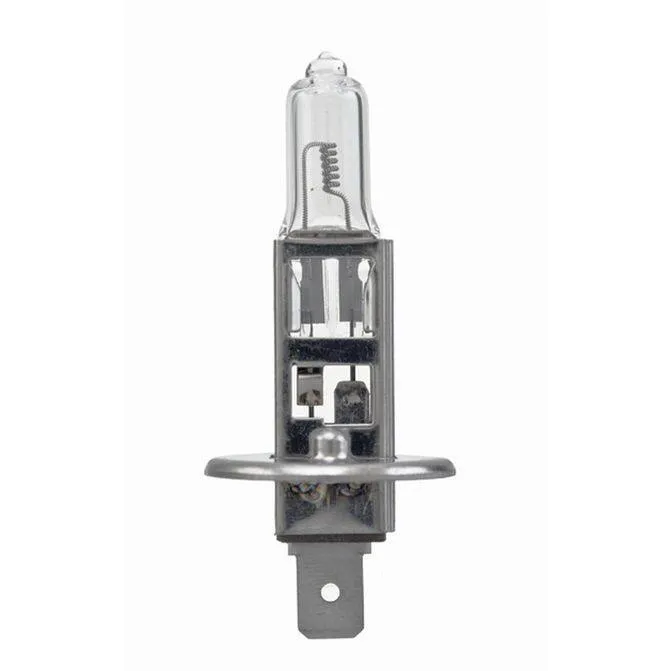 H1 24V Truck Halogen Bulb